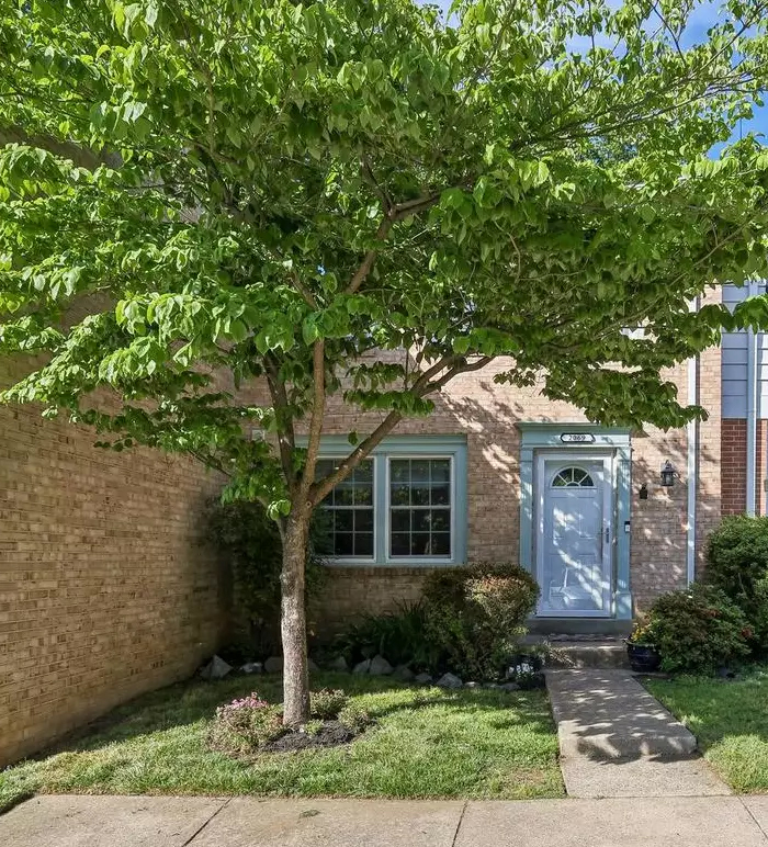 Light brick townhome with walkway and large tree